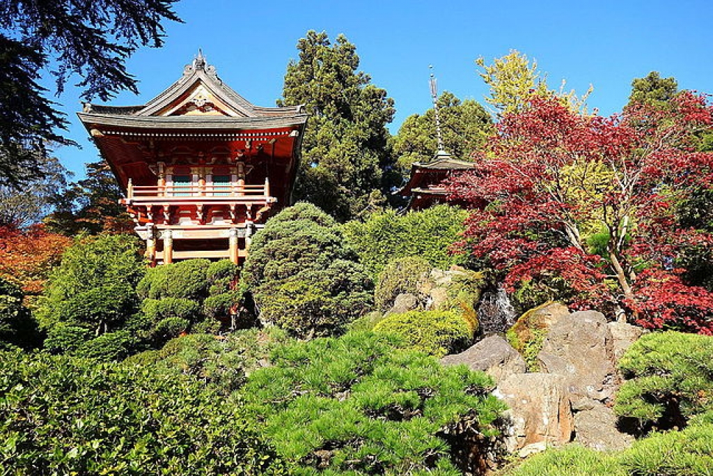 Japanese Tea Garden